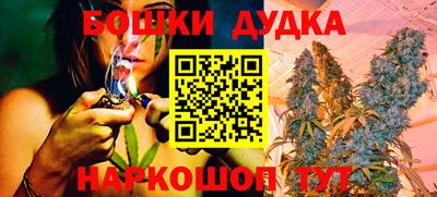 apvp Нальчик