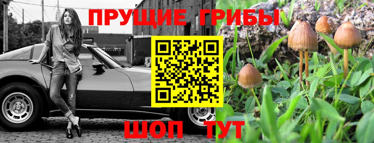 Галлюциногенные грибы MAGIC MUSHROOMS Белореченск