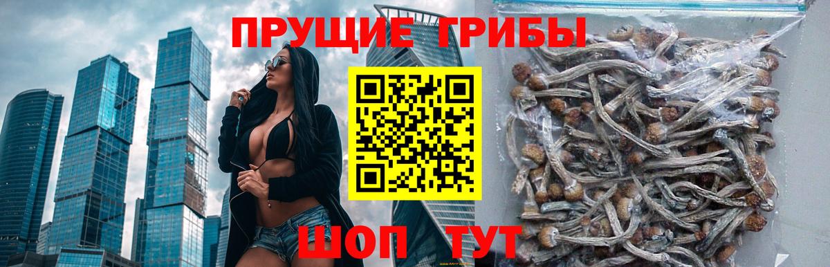 Псилоцибиновые грибы мухоморы  Вход с VPN  купить   Белореченск 